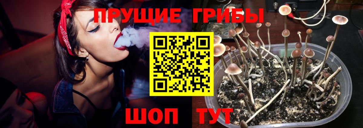 Псилоцибиновые грибы мухоморы Ухта